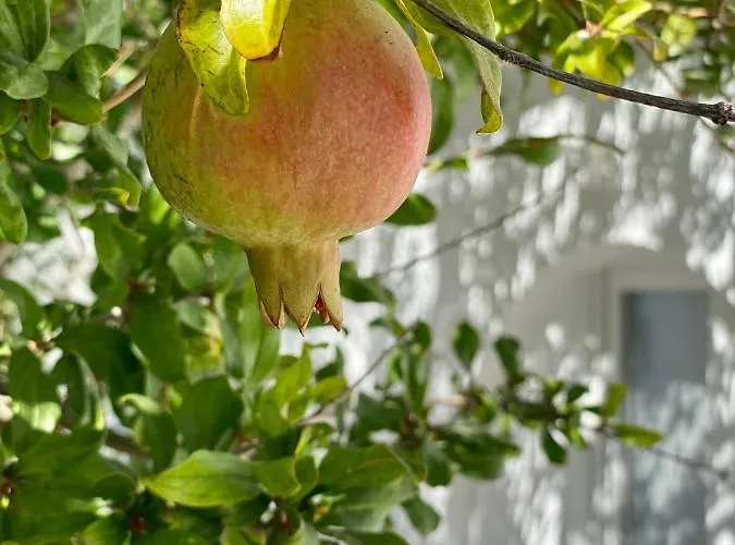 Maria Elena - * Mykonos Town